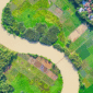 Freehold vs. Leasehold Property Ownership in Nigeria