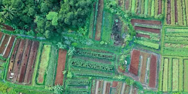 Understanding Land and Property Key Concepts