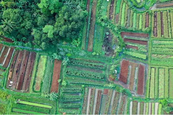 Understanding Land and Property Key Concepts