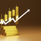 Dombert Grant Capital & Investment Where Your Financial Dreams Go to...multiply