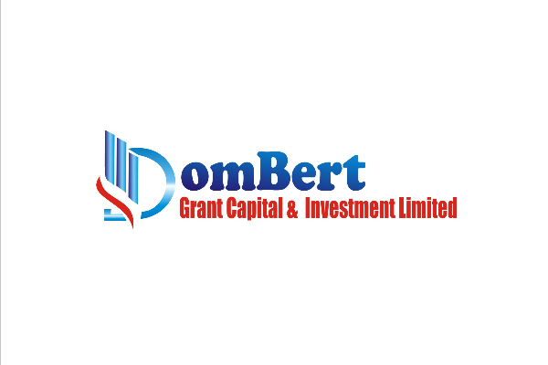 Introducing Financial Services by Dombert Group