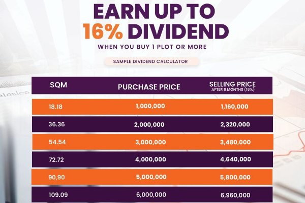 How Dombert Investments Are Shaping The Future