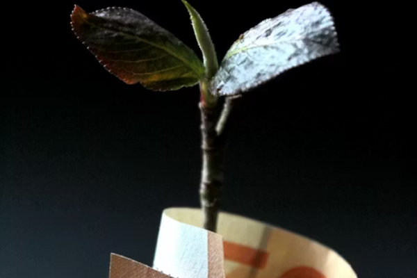 Unlocking Opportunities Through Grants and Capital