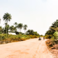 Omo Onile vs. Your Peace of Mind A Funny Guide to Buying Land in Nigeria 85x85