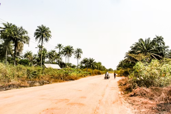 Omo-Onile vs. Your Peace of Mind A Funny Guide to Buying Land in Nigeria